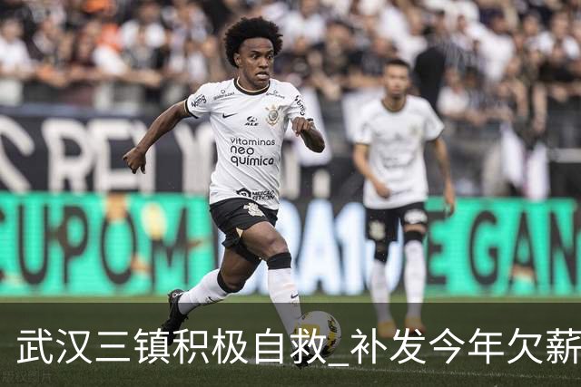 武汉三镇积极自救 补发今年欠薪 准入大概率会解决